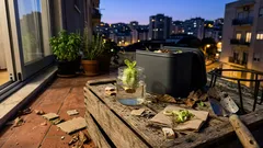 Não deite fora o talo da alface: 3 usos fáceis que melhoram a terra (e ainda podem dar nova vida à planta)